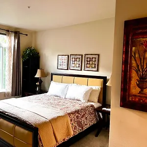 seattle-city-center-2bd2bth-large-moden-home.seattlehotelsites.com/